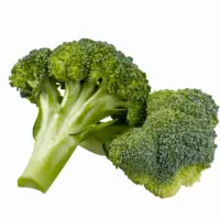 Brocolí